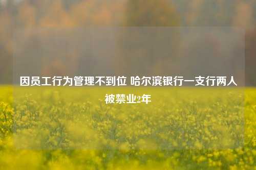 因员工行为管理不到位 哈尔滨银行一支行两人被禁业2年