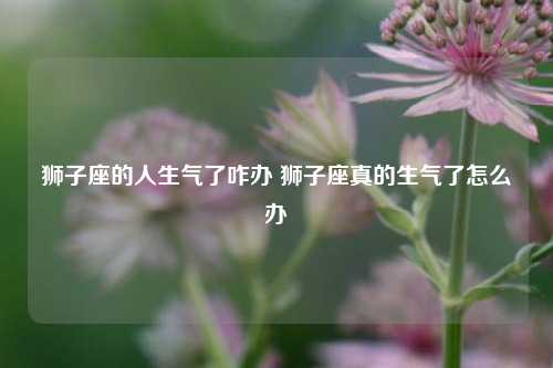 狮子座的人生气了咋办 狮子座真的生气了怎么办