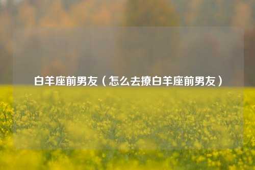 白羊座前男友（怎么去撩白羊座前男友）