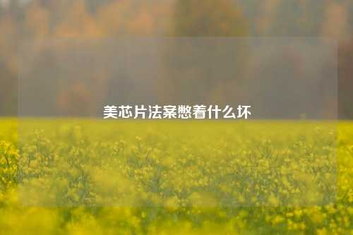 美芯片法案憋着什么坏