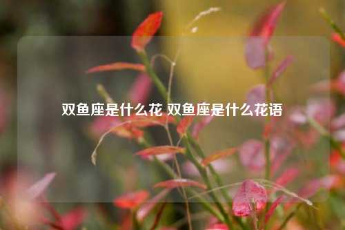 双鱼座是什么花 双鱼座是什么花语