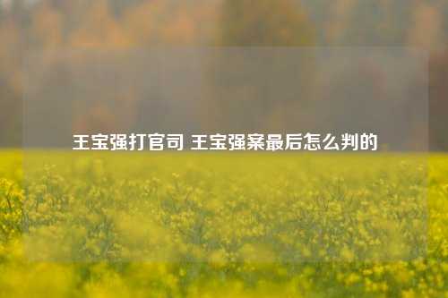 王宝强打官司 王宝强案最后怎么判的