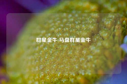 群星金牛 马盘群星金牛