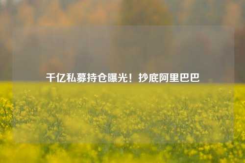 千亿私募持仓曝光！抄底阿里巴巴