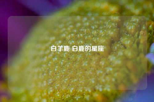 白羊鹿 白鹿的星座