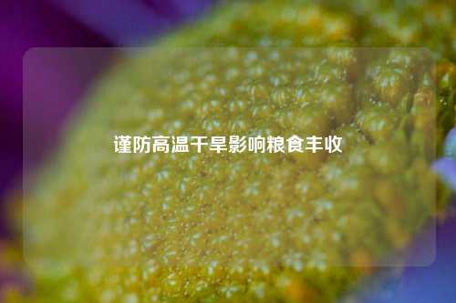 谨防高温干旱影响粮食丰收