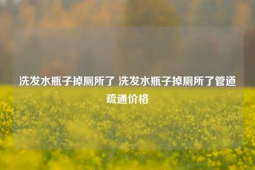 洗发水瓶子掉厕所了 洗发水瓶子掉厕所了管道疏通价格