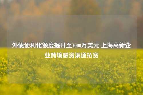 外债便利化额度提升至1000万美元 上海高新企业跨境融资渠道拓宽