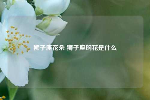 狮子座花朵 狮子座的花是什么