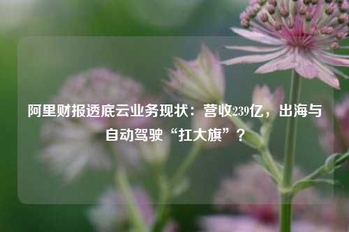 阿里财报透底云业务现状：营收239亿，出海与自动驾驶“扛大旗”？