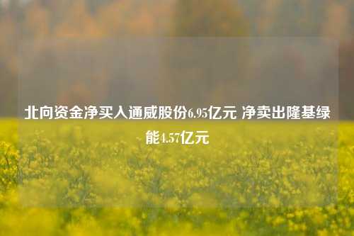 北向资金净买入通威股份6.95亿元 净卖出隆基绿能4.57亿元