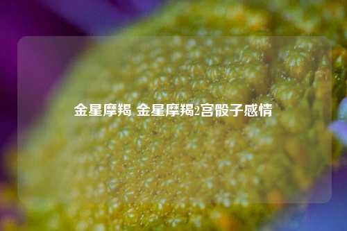 金星摩羯 金星摩羯2宫骰子感情