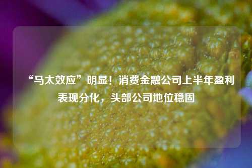 “马太效应”明显！消费金融公司上半年盈利表现分化，头部公司地位稳固