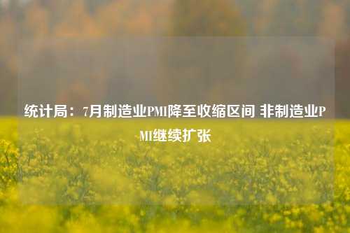 统计局：7月制造业PMI降至收缩区间 非制造业PMI继续扩张