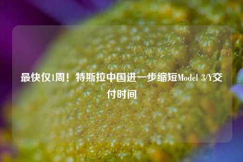 最快仅1周！特斯拉中国进一步缩短Model 3/Y交付时间