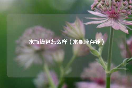 水瓶钱包怎么样（水瓶座存钱）