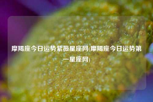 摩羯座今日运势紫薇星座网(摩羯座今日运势第一星座网)