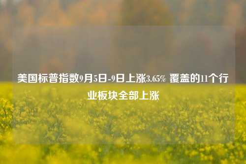 美国标普指数9月5日-9日上涨3.65% 覆盖的11个行业板块全部上涨