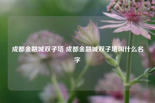 成都金融城双子塔 成都金融城双子塔叫什么名字