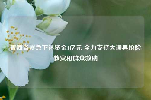 青海省紧急下达资金1亿元 全力支持大通县抢险救灾和群众救助