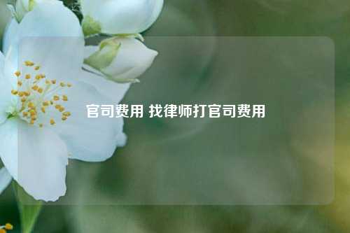 官司费用 找律师打官司费用