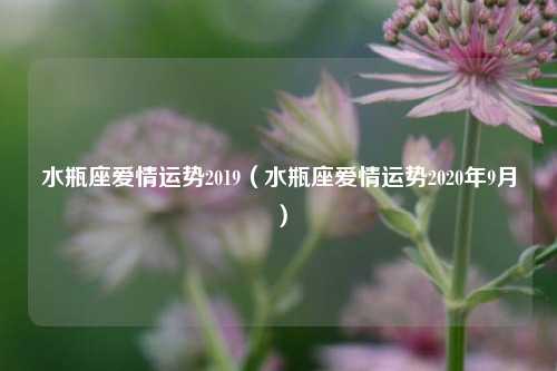 水瓶座爱情运势2019（水瓶座爱情运势2020年9月）